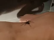 Ana Asensio, Ana Asensio Nude - Most Beautiful Island (US 2017) explicit mainstream cinema sex