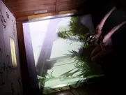 Caprice Nude Cecilia Gala - 2017 erotic sex scenes