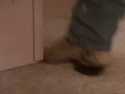 Rochelle Swanson - On the Border (1998) top movie sex scenes