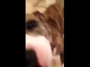 The Big Bang Theory's Kaley Cuoco sucks cock and gets facialized unsimulated sex in mainstream cinema