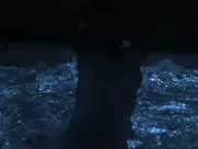 Penelope Cruz nude - Woman on Top (2000) unsimulated sex in mainstream cinema