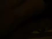 Melanie Laurent nude - Enemy (2013) celebrity real sex scene