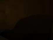 Melanie Laurent nude - Enemy (2013) celebrity real sex scene