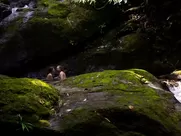 Marcia Gay Harden nude – After Words (2015) hot sex scene