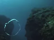 Isabella Leong, Angelica Lee Nude - Murmur of the Heart (2015) sex in cinema mainstream videos