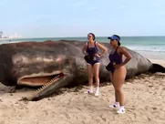 Irina Voronina, Mary Castro, Marisa Petroro Nude - Reno 911! Miami (2007) famous sex scenes