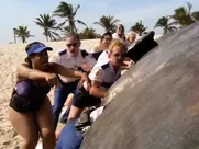 Irina Voronina, Mary Castro, Marisa Petroro Nude - Reno 911! Miami (2007) famous sex scenes