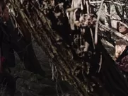 Jamie Bernadette, Maria Olsen nude - I Spit on Your Grave Deja Vu (2019) best sex scenes porn