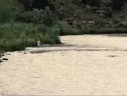 January Jones nude - Sweetwater (2013) oral sex in mainstream cinema