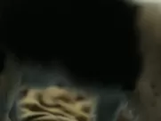 Nude Nina Dobrev - Lucky Day (2019) explicit mainstream cinema sex