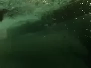 Katrina Bowden, Irina Voronina Nude - Piranha 3DD (2012) actress sex scene