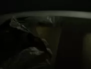 Sivan Alyra Rose nude - Chambers s01e01-04 (2019) famous sex scenes