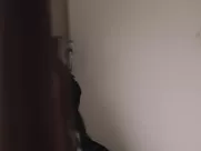 Penny Nude - Europe, She Loves (2016) hollywood sex scenes