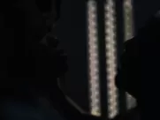 Sexy Regina King nude - Watchmen s01e01 (2019) unsimulated sex mainstream cinema