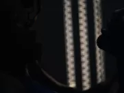 Sexy Regina King nude - Watchmen s01e01 (2019) unsimulated sex mainstream cinema