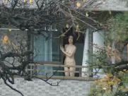 Mariko Tsutsui - A Girl Missing (2019)