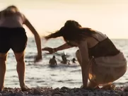 Caro Cult, Amelie Plaas Link - Interrail (2018)