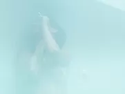 Samantha Logan - The Empty Man (2020)