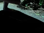 Carolyn Genzkow, Sina Tkotsch, Lynn Femme - Der Nachtmahr (2015)