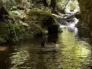 RARE Lauren Taylor & Katherine Blair - Senn (2013)