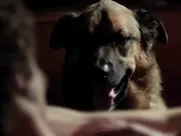 RARE Sheila E. Campbell nude - The Editor (2014)