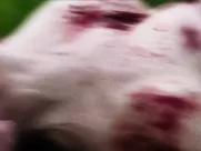 RARE Nude Sylvia Jefferies- 3 From Hell (2019)