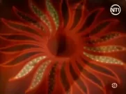 Gabriella Hall  -  Double or Nothing (1997)