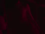 Tao Okamoto - Perfect (2018)