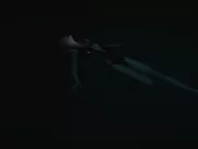 Tao Okamoto - Perfect (2018)