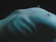 Laure Massard - Passion