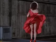 Kelly LeBrock - The Woman in Red (1984)