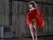 Kelly LeBrock - The Woman in Red (1984)