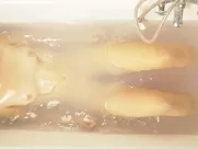 Lisa Marie Stoiber - Charly (2021)