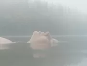 Lisa Marie Stoiber - Charly (2021)