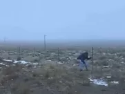 Frances McDormand - Nomadland (2020)