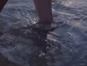 Frances McDormand - Nomadland (2020)