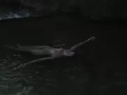 Frances McDormand - Nomadland (2020)