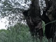 La vie de Jésus (The Life of Jesus) 1997