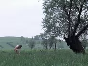 La vie de Jésus (The Life of Jesus) 1997