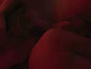 Pia Stutzenstein, Stella Vivien Dhingra nude in Easy Love (2019)