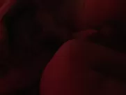 Pia Stutzenstein, Stella Vivien Dhingra nude in Easy Love (2019)