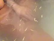 Asa Akira - Bath tub Masturbation